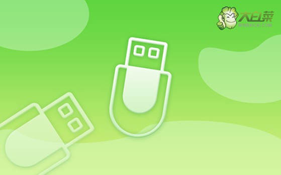 大白菜裝機(jī)教程win7方法?大白菜裝機(jī)教程圖解