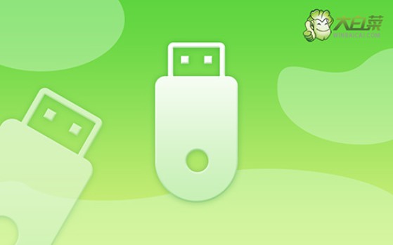 大白菜怎么U盤重裝系統教程?大白菜U盤怎么裝系統教程win7